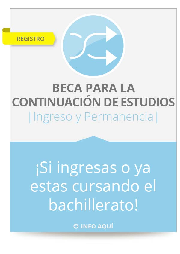 Becas para la continuación de estudios